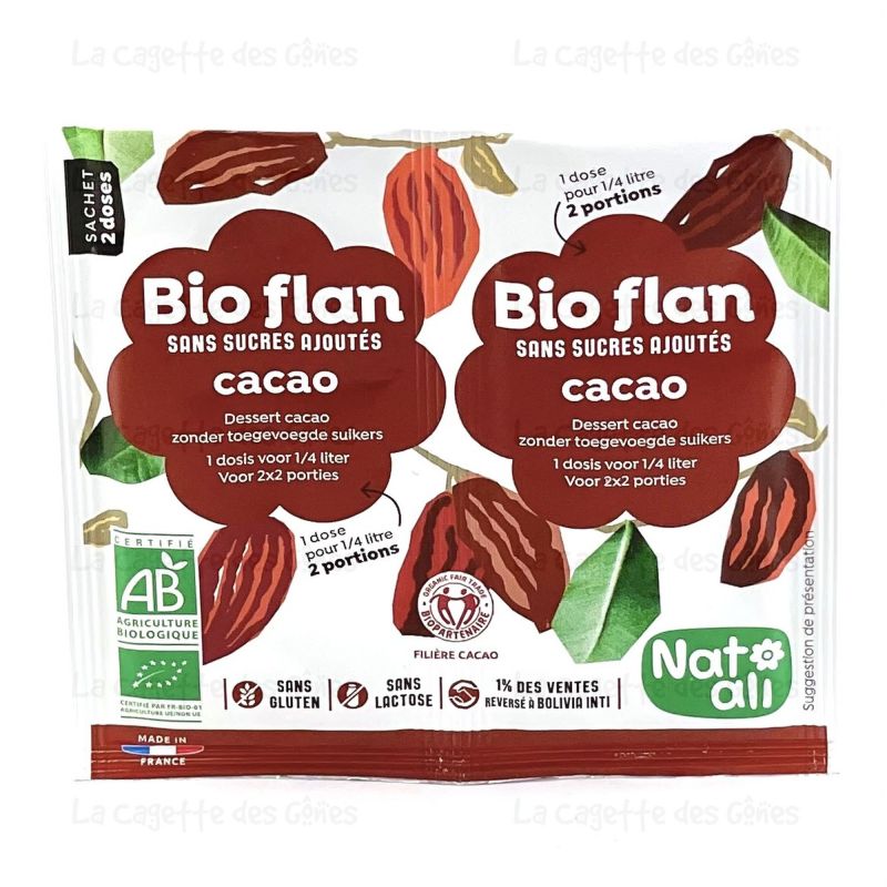 BIOFLAN CHOCOLAT SANS SUCRE 2X5.5G