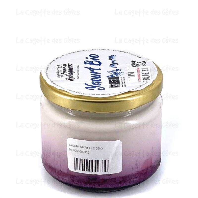 YAOURT MYRTILLE 250G