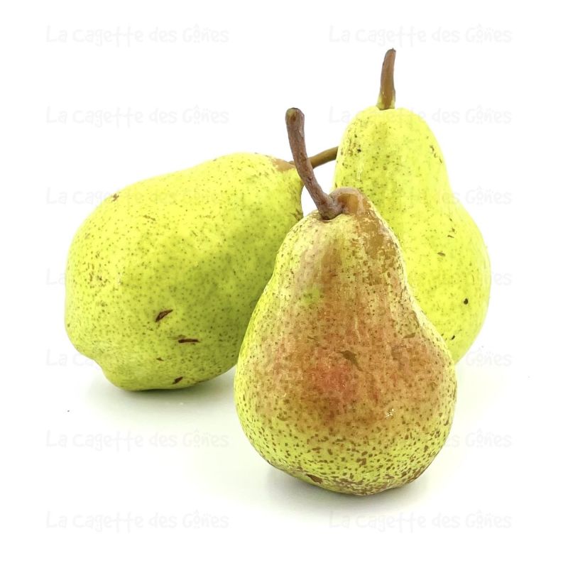 POIRE WILLIAM VERTE