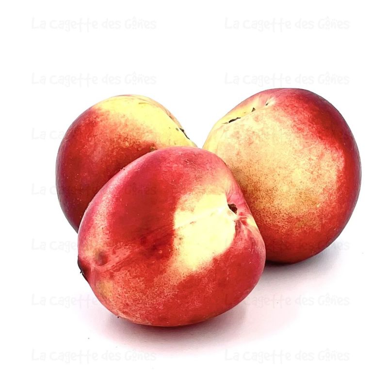 NECTARINE BLANCHE au Kg origine FRANCE