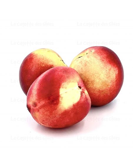 NECTARINE BLANCHE au Kg origine FRANCE