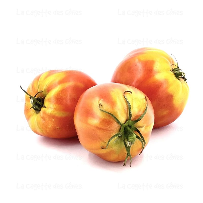 TOMATE COEUR DE BOEUF au Kg origine FRANCE