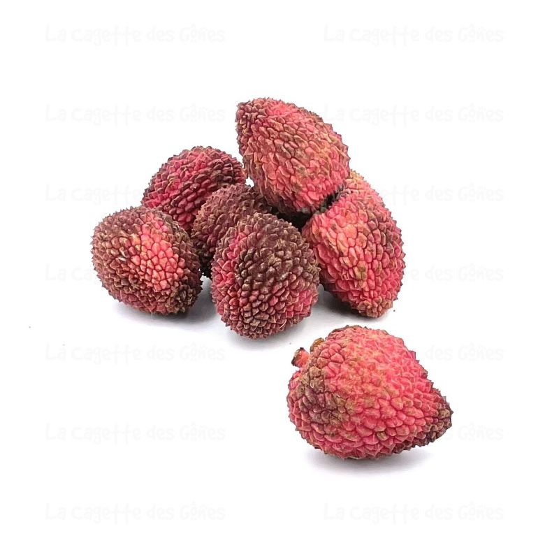 LITCHI