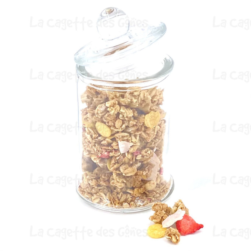 MIX MUESLI ROUGE