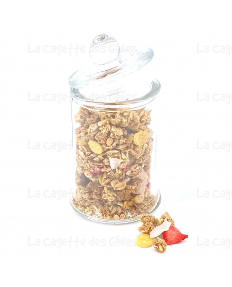 MIX MUESLI ROUGE