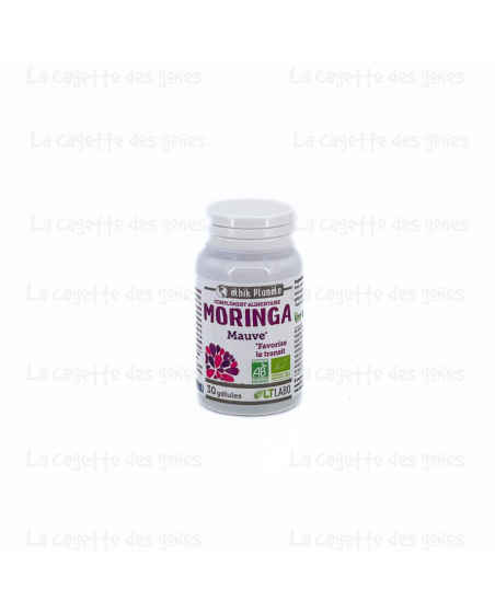 MORINGA TRANSIT BIO(E) 30 GÉLULES - LTLABO