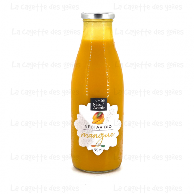 Nectar de Mangue Inde - Natur'Avenir