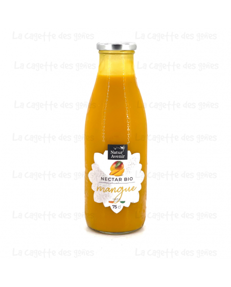 Nectar de Mangue Inde - Natur'Avenir