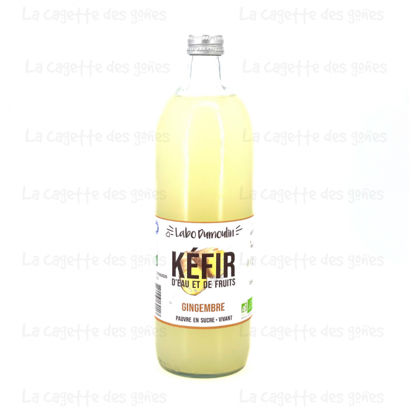 Kéfir d'Eau Fruits Gingembre 75cl - Labo Dumoulin